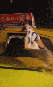 星空官网-库里在社媒发布中国行视频：刚落地中国，这里的氛围无与伦比