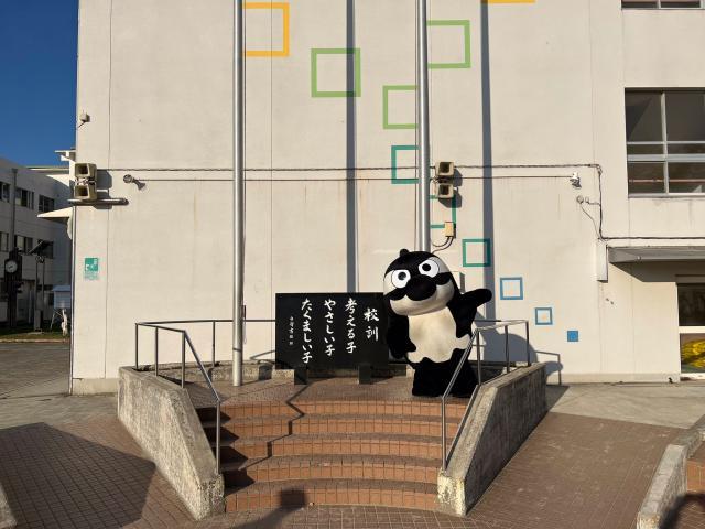 星空体育官网-足球从娃娃抓起!围观隔壁国家小朋友们的足球周末