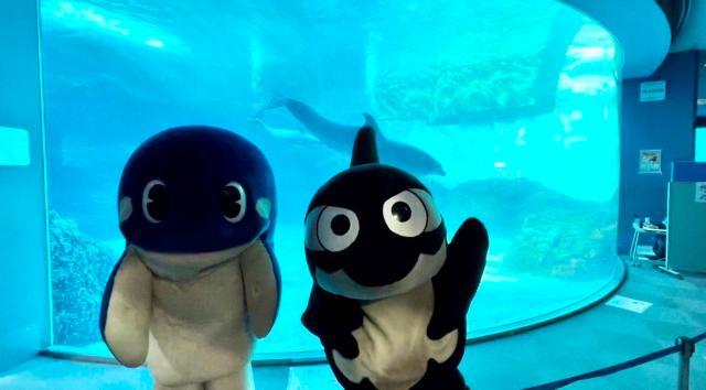 星空体育官网-足球从娃娃抓起!围观隔壁国家小朋友们的足球周末