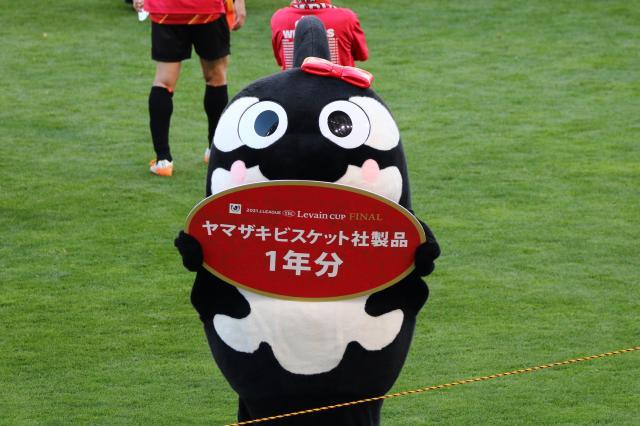 星空体育官网-足球从娃娃抓起!围观隔壁国家小朋友们的足球周末